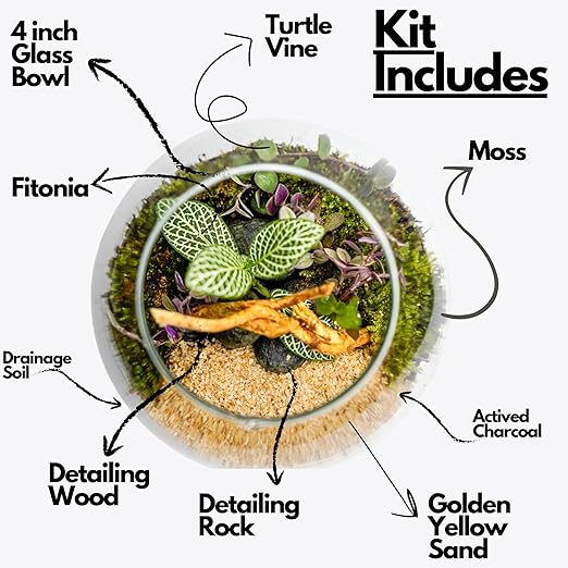 DIY Glass Terrarium Kit – Coastal Theme