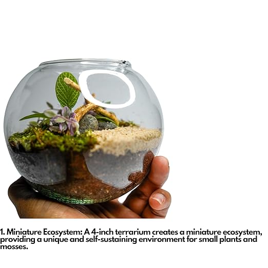 DIY Glass Terrarium Kit – Coastal Theme thumbnail