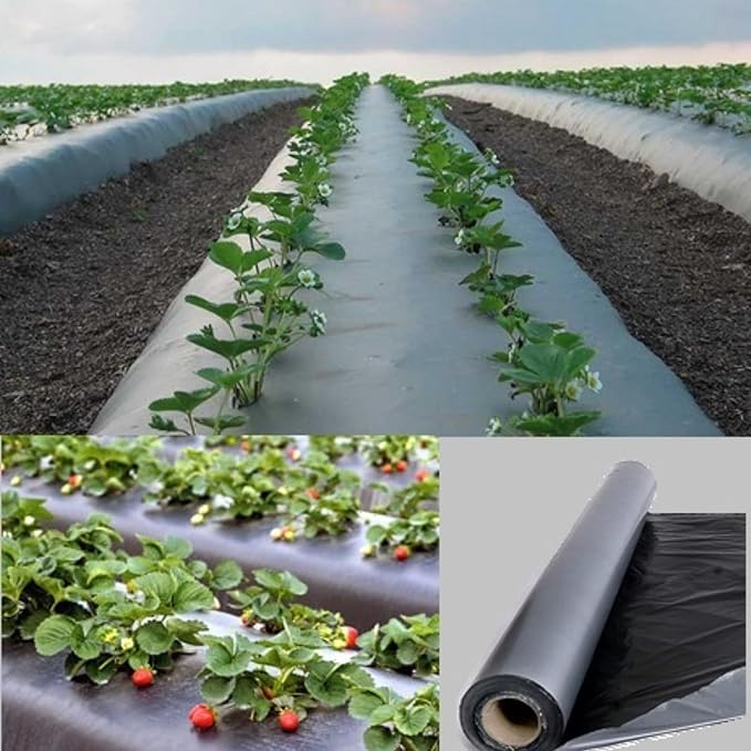 Black Mulching Sheet – 3.25 ft x 400 m
